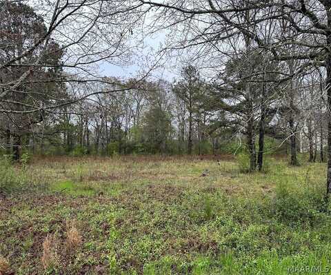 Lot 12 Plantation Drive, Selma, AL 36702