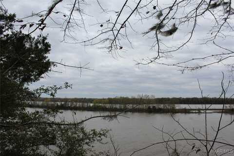 Lot 13 Prairie Bluff Road, Catherine, AL 36728