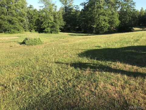 118 FOX Run, Deatsville, AL 36022