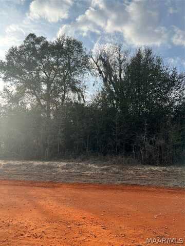 Lot 35 Deer Loop, Camden, AL 36726