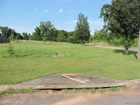 Lot G2 Longleaf Lane, Greenville, AL 36037