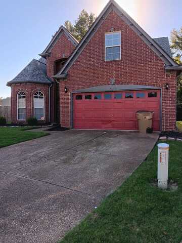 5673 ORANGE TULIP, Bartlett, TN 38135