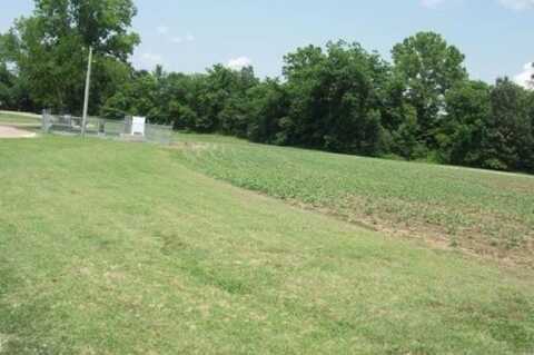 0 35 ACRES HWY 196/MAIN ST, Gallaway, TN 38036