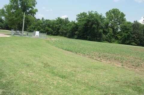 0 35 ACRES HWY 196, Gallaway, TN 38036