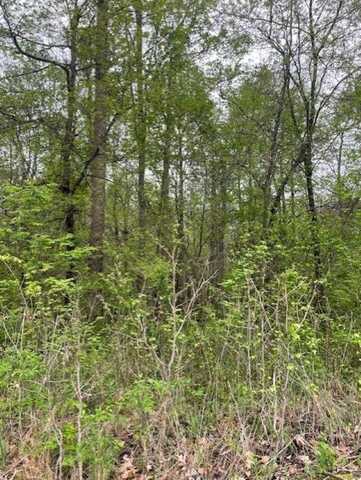 LOT 3 CUBA-MILLINGTON, Unincorporated, TN 38053