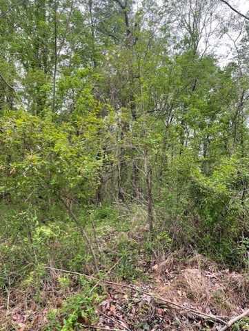 LOT 12 CUBA MILLINGTON, Millington, TN 38053