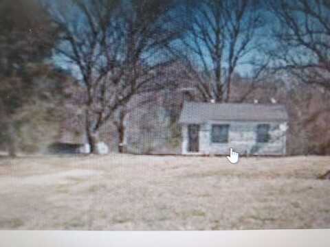 1793 BRITTON, Denmark, TN 38391