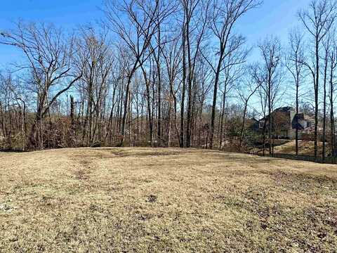 10225 MAPLE RUN, Lakeland, TN 38002