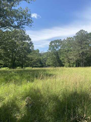 000 TODD, Bolivar, TN 38008