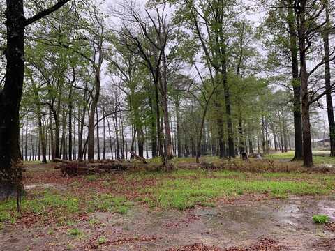 00 CHISHOLM LAKE SPUR, Ripley, TN 38063