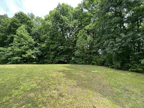 0 BEECH CREEK, Clifton, TN 38425