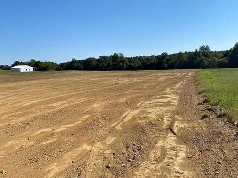 LOT 4 BRAMMER, Mason, TN 38049