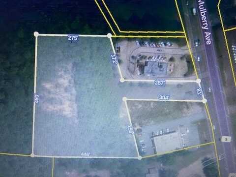 00 MULBERRY, Selmer, TN 38375