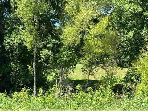 0 HIGHWAY 196, Piperton, TN 38017