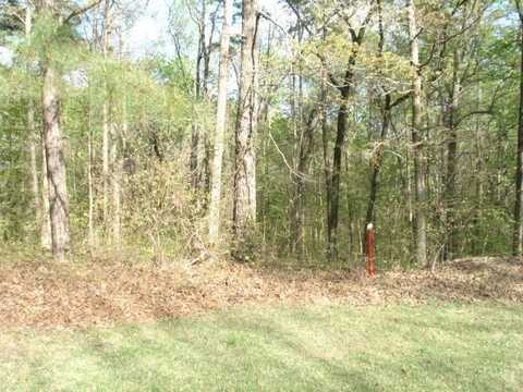 505A BRIAR CREEK, Counce, TN 38326