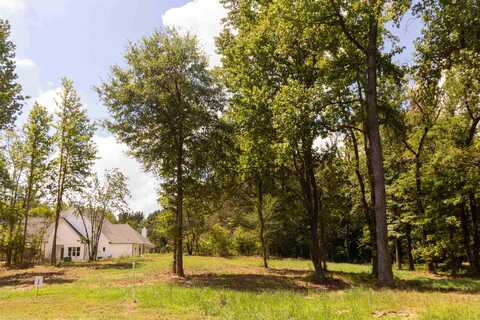 50 CROWN VISTA, Piperton, TN 38017
