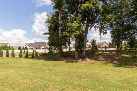 55 CROWN VISTA, Piperton, TN 38017