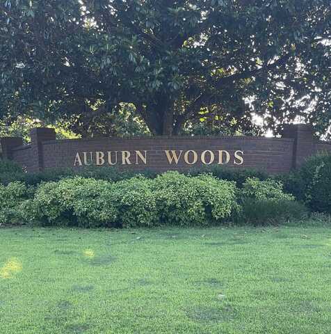 1295 AUBURN WOODS, Collierville, TN 38017