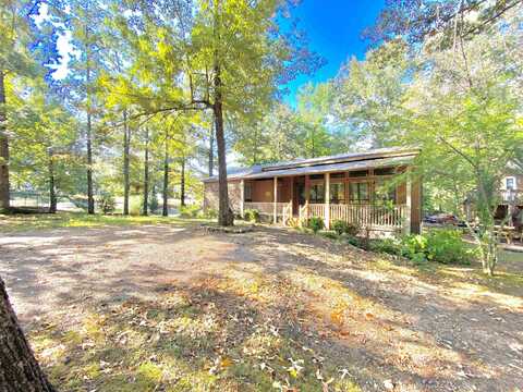 51 GOLFERS LOOP, Counce, TN 38326