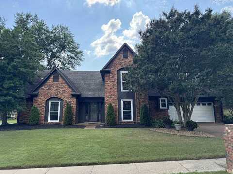 175 WALNUT RIDGE, Memphis, TN 38018