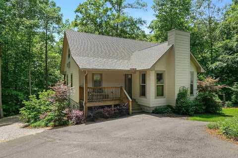 90 ARABIAN, Counce, TN 38326