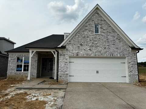 95 DOWNY BIRCH, Oakland, TN 38060