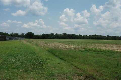 HWY 196-10ACRES/MAIN ST, Gallaway, TN 38036