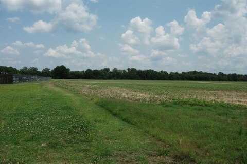 HWY 196-10ACRES, Gallaway, TN 38036