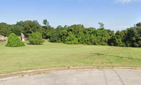 LOT 30 HESKETH BANK, Brownsville, TN 38012