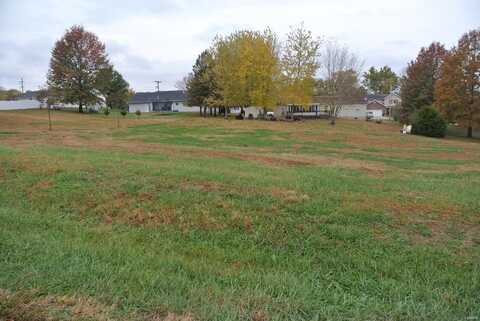 0 lot 17 Circle Drive, Saint Mary, MO 63673