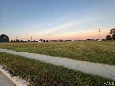 0 Lot 20 Sycamore Road, Perryville, MO 63775