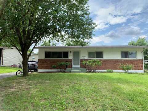 2903 Lesmer Court, Overland, MO 63114