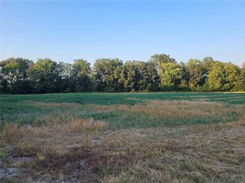 0 Hwy DD (5+/- Ac) Tract D, Bellflower, MO 63333