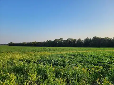 0 Hwy DD (17+/- Ac) Tract B, Bellflower, MO 63333