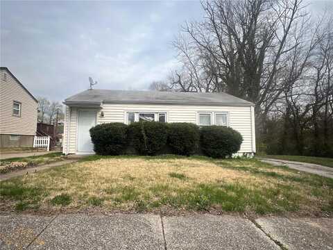 318 Mueller Avenue, Saint Louis, MO 63135