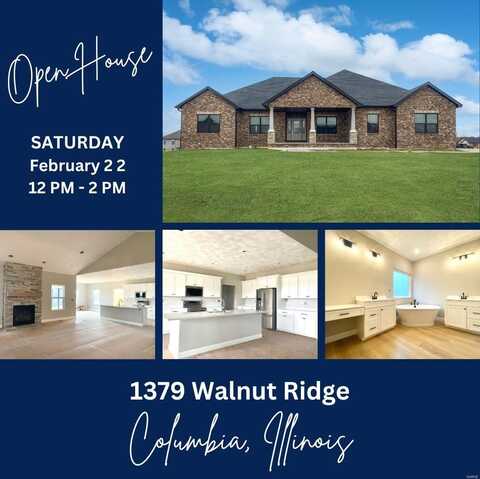 1379 Walnut Ridge Drive, Columbia, IL 62236