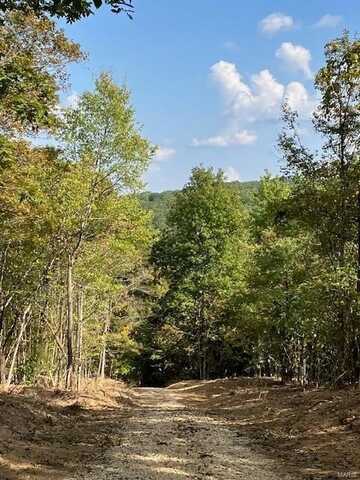 18 Church Road (CR 114), Annapolis, MO 63620