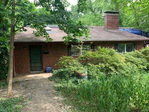 427 S Park Avenue, Saint Louis, MO 63119