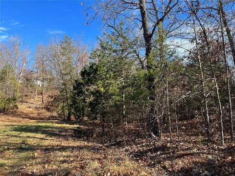0 Amy Court, Bonne Terre, MO 63628