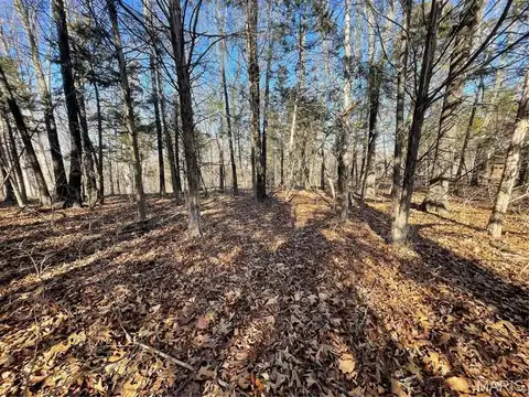9 Hickory Ridge Road, Hillsboro, MO 63050