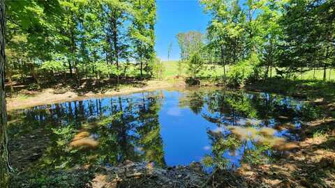 0 28 Acres Highway F, Saint James, MO 65559