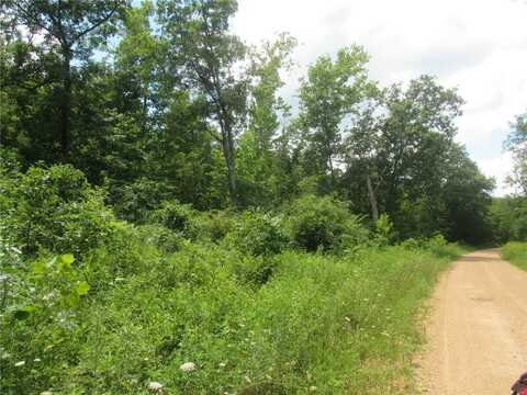 0 S Czar Tower (20.62 acres) Road, Steelville, MO 65565