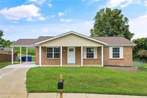 2253 Larbrook Drive, Florissant, MO 63031