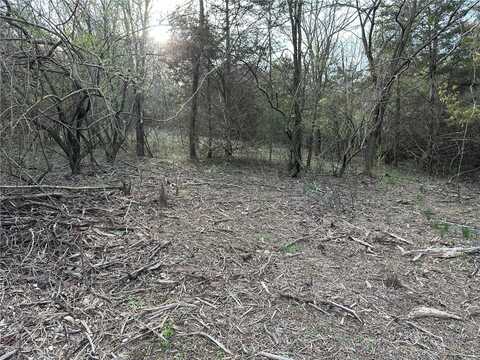 6511 Dallas Drive - 36.42 acres, Barnhart, MO 63012