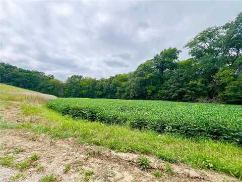 15 Acres Boxwood Street, La Belle, MO 63447