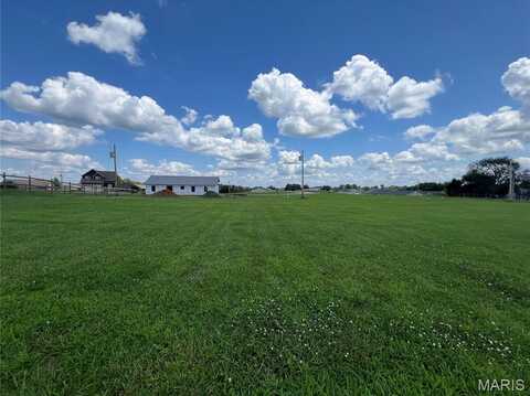 0 Lot 19 Sycamore Road, Perryville, MO 63775