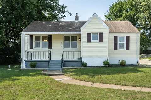 126 E Waymire Avenue, Saint Louis, MO 63119