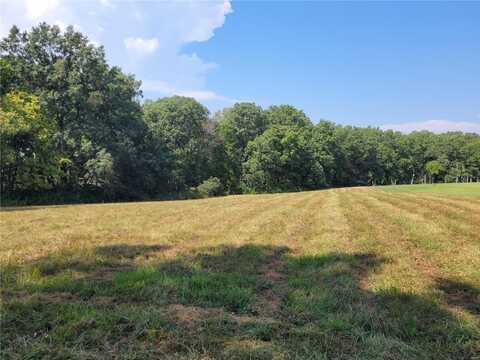 218 Hidden Sanctuary (Lot 13) Drive, Foristell, MO 63348