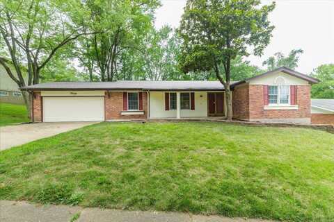 20 Hiddenbrook Drive, Black Jack, MO 63033