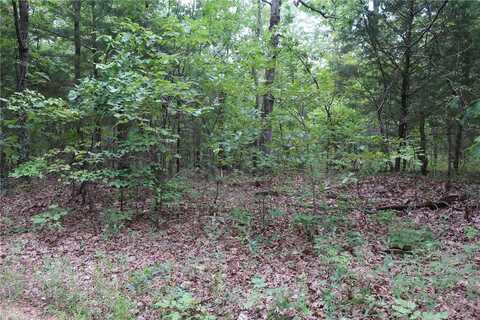 0 38.4 +/- Acres-Floras Pl, Dittmer, MO 63023